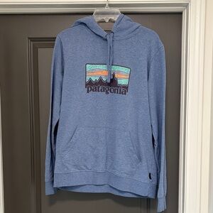 Patagonia blue hoodie L